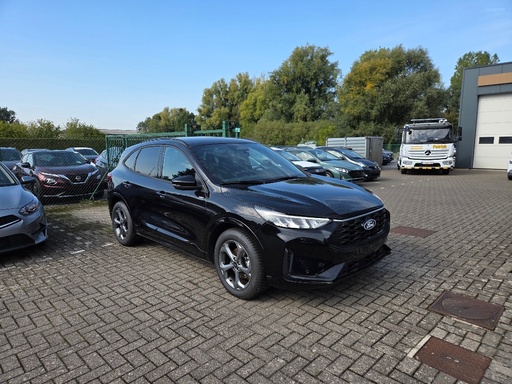 Ford (D) Kuga